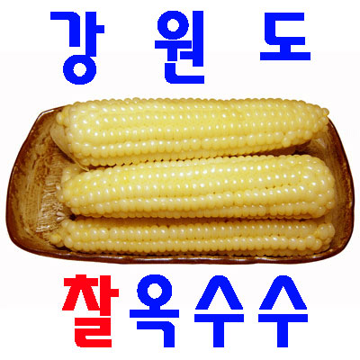 우리네농산,강원도 정선 냉동 찰옥수수 20개